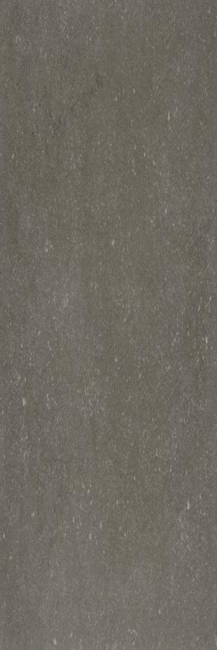 Porcelain stoneware BUXY CENDRE фото №1