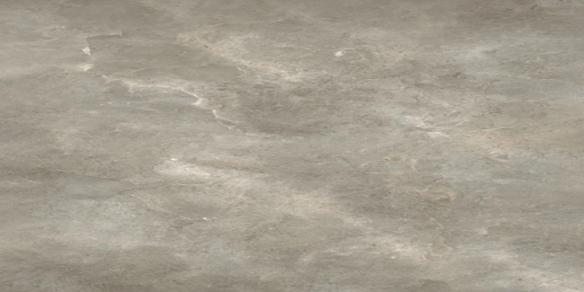 Porcelain stoneware Palladium Grey фото №1